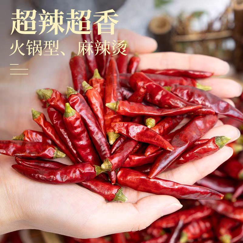贵州满天星干辣椒新品上市现货供应对接全国量大质优