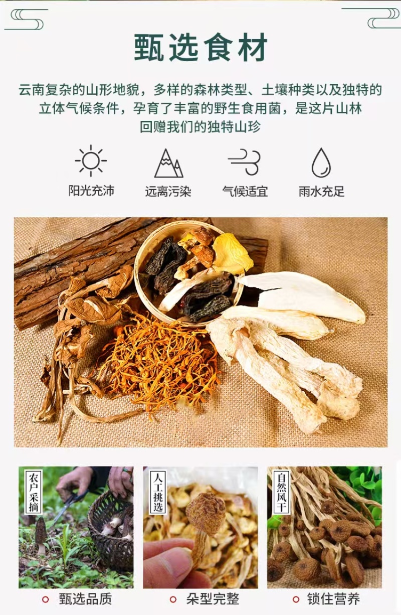 菌汤包全国发货欢迎联系产地直发自家货源可对接批发