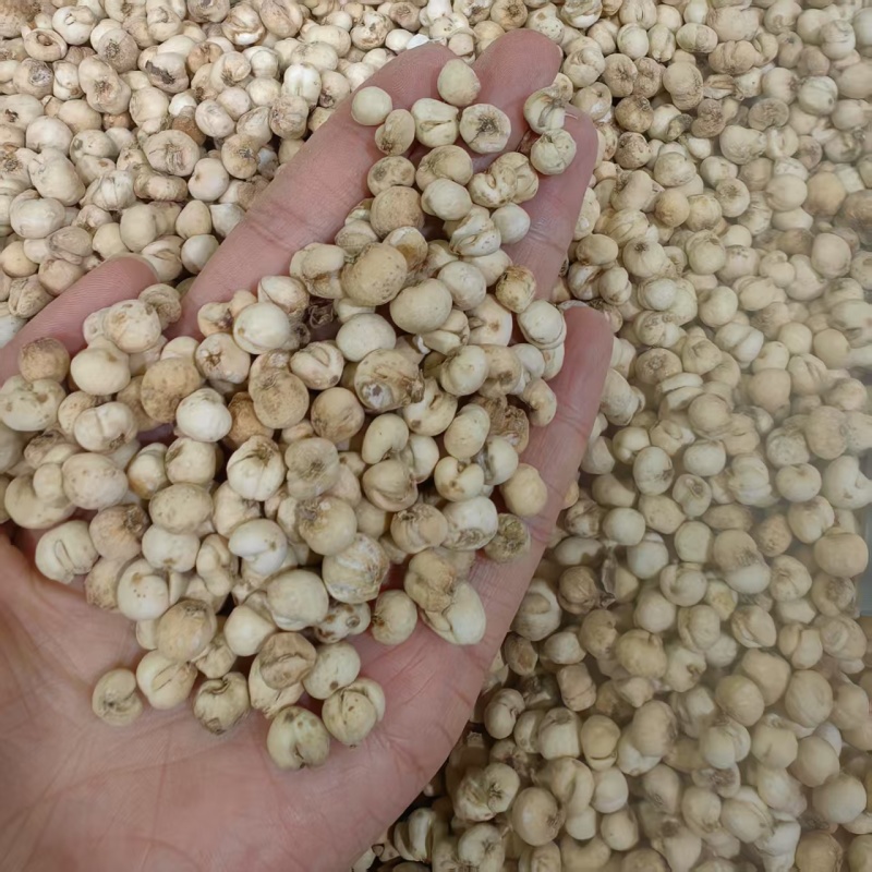 贝母平贝批发厂家直发对接电商质量保证