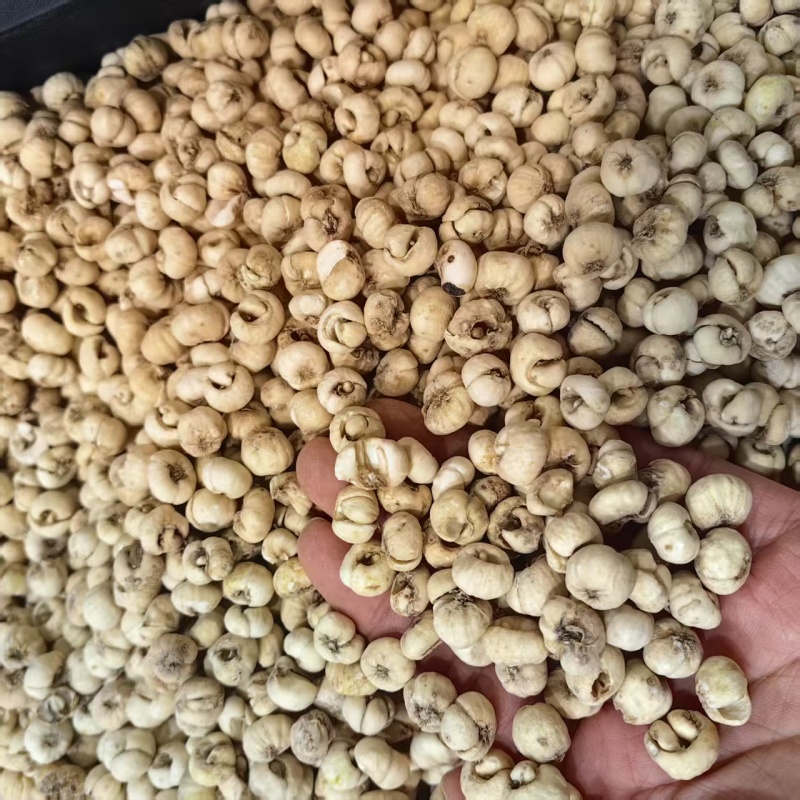 贝母平贝批发厂家直发对接电商质量保证