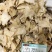 白芨批发优质白芨规格齐全可供实体店量大价优