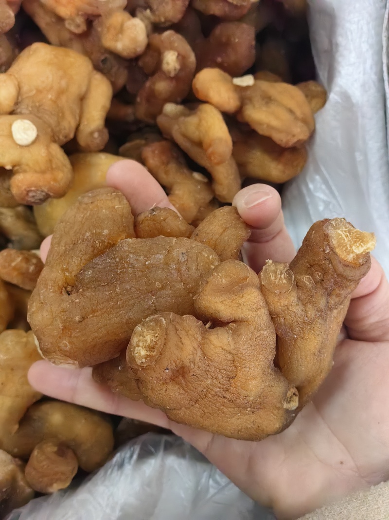 鸡头黄精姜型黄精批发各种黄精规格齐全量大价优