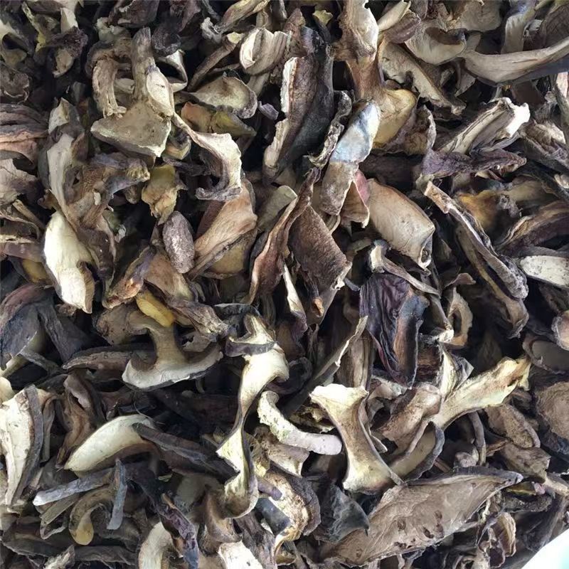 黑牛肝菌云南黑牛杆菌牛肝菌干片