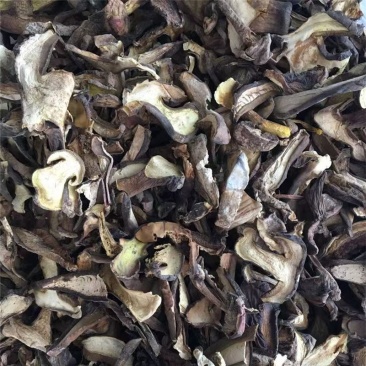 黑牛肝菌云南黑牛杆菌牛肝菌干片