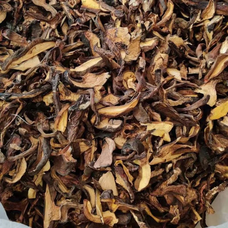 黑牛肝菌云南黑牛杆菌牛肝菌干片