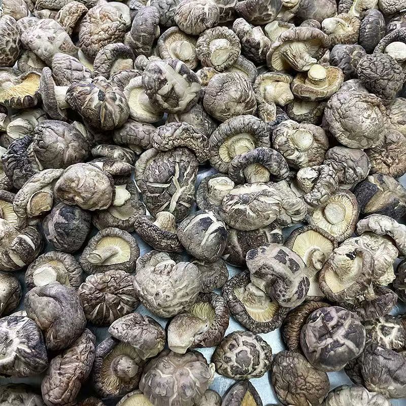 花菇椴木小花菇小花菇云南椴木小花菇批发
