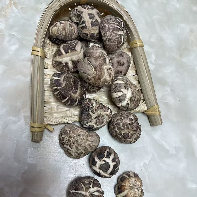 花菇椴木小花菇小花菇云南椴木小花菇批发