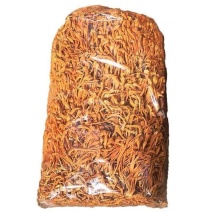 虫草花蛹虫草花批发虫草花蛹虫草花批发