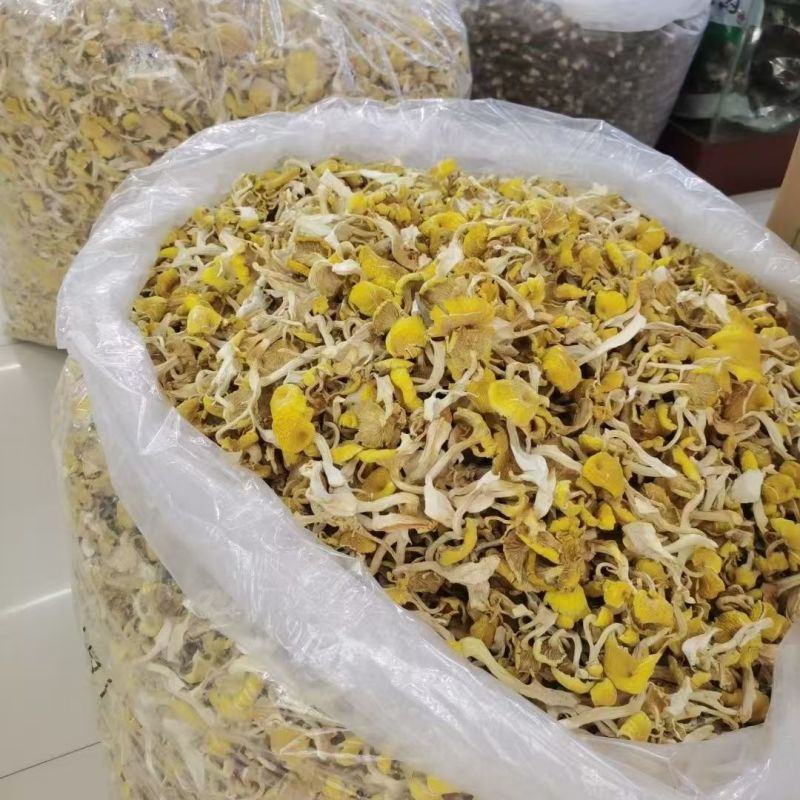 鸡油菌云南鸡油菌鸡油菌云南鸡油菌批发