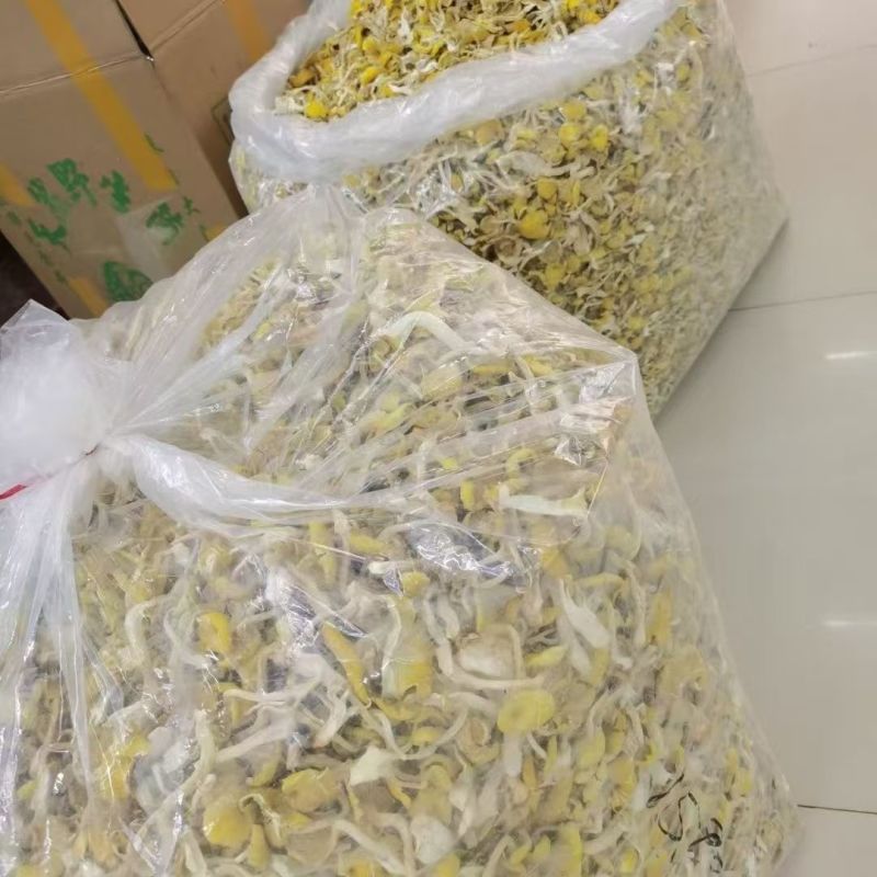 鸡油菌云南鸡油菌鸡油菌云南鸡油菌批发