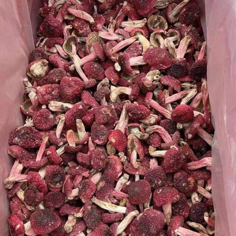 红菇云南红菇红菇云南红菇红菇云南红菇批发