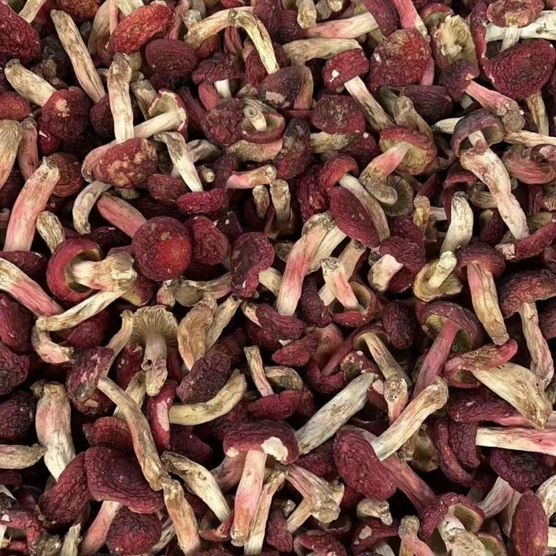 红菇云南红菇红菇云南红菇红菇云南红菇批发