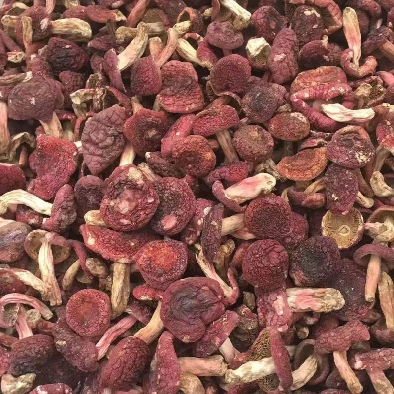 红菇云南红菇红菇云南红菇红菇云南红菇批发