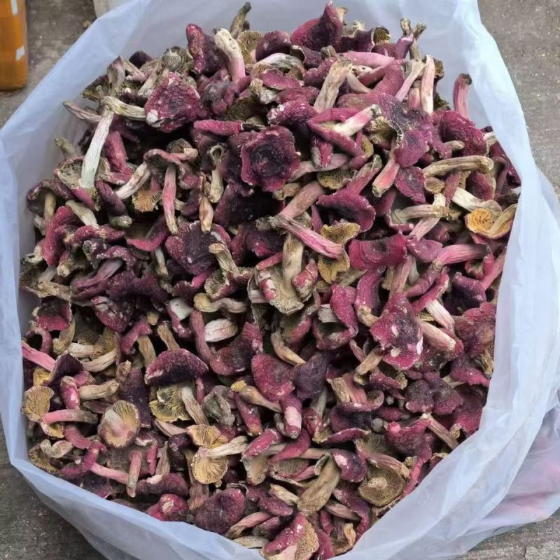 红菇云南红菇红菇云南红菇红菇云南红菇批发