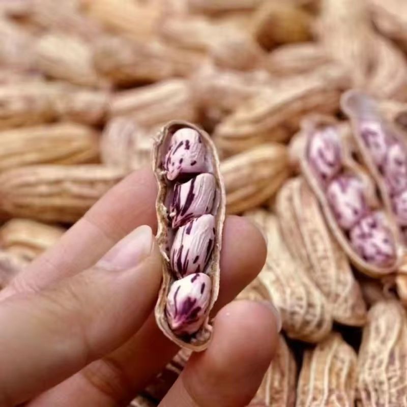 七彩花生云南七彩花生七彩花生干货货批发