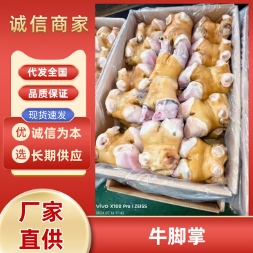大量精品牛脚掌，牛蹄产地一手货源量大从优一条龙服务欢迎咨询