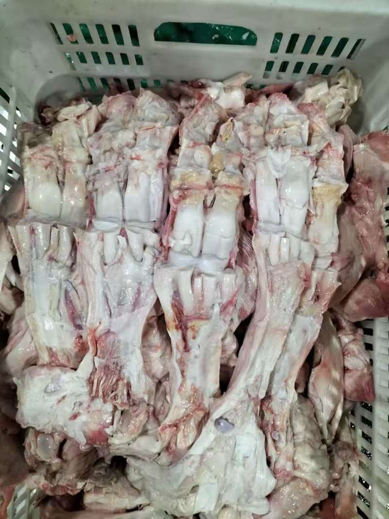精修牛蹄主筋牛蹄筋产地一手货源量大从优可长期稳定批发供应
