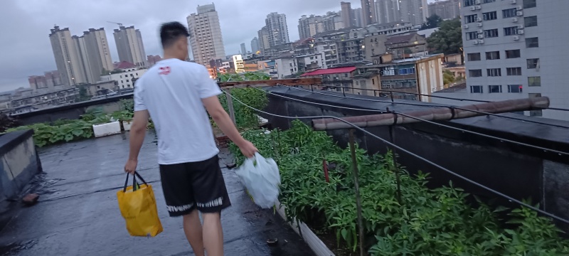 【推荐】营养土有机质各种营养元素可定制厂家直发保水保肥