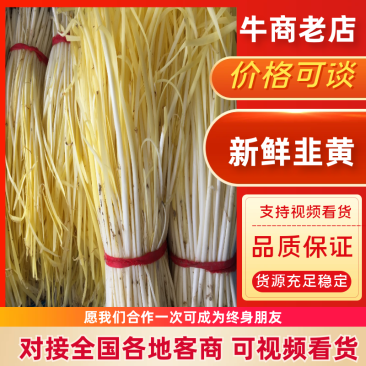 干韭黄，精品，韭菜芽，韭黄基地，可分拣，不是蒜黄