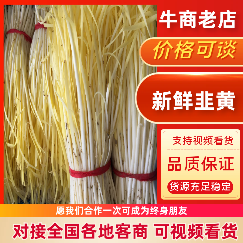 干韭黄，精品，韭菜芽，韭黄基地，可分拣，不是蒜黄