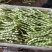 【诚信卖家】芸豆山东日照大量有货产地直发欢迎选购