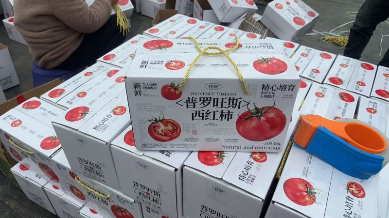 普罗旺斯口感西红柿