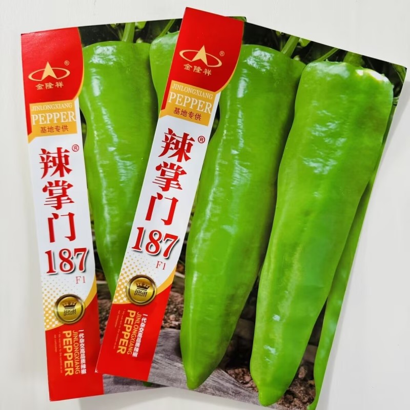 辣掌门187辣椒种子中早熟杂交一代粗长牛角椒种子