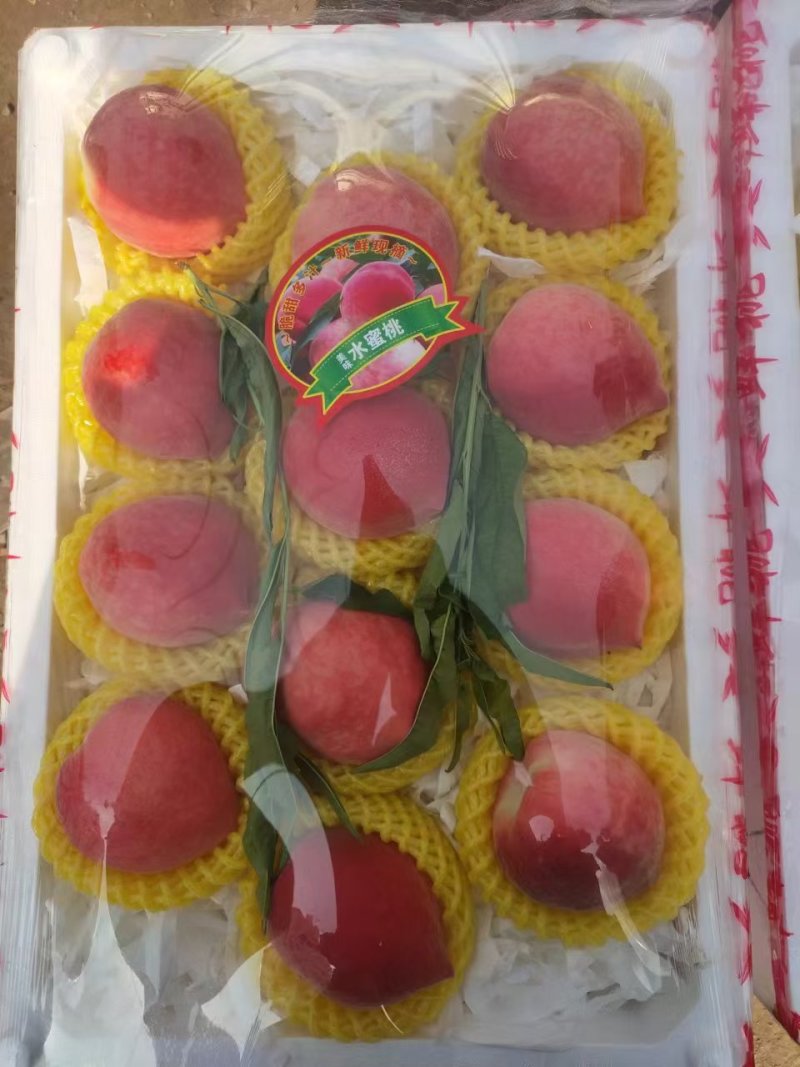 精品水蜜桃大量供应对接全国市场品质保证量大价优