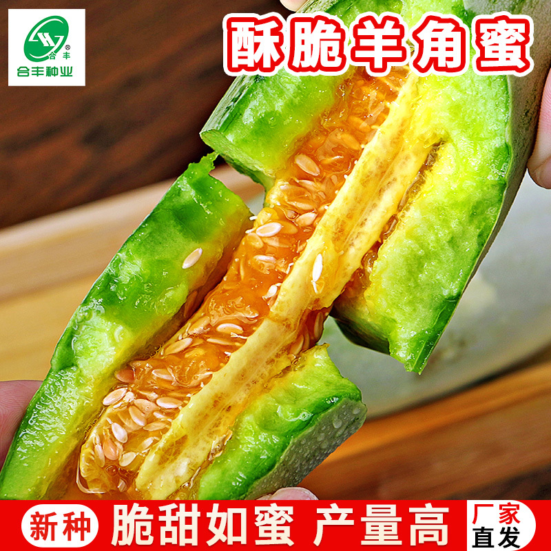 酥脆羊角蜜甜瓜种子-产量高易坐果皮薄酥脆可口含糖量高
