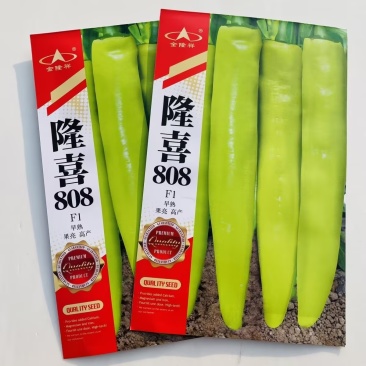 隆喜808辣椒种子早熟抗病果实黄色光亮连续坐果强