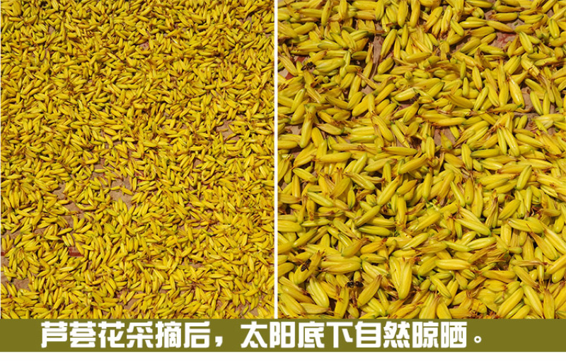 库拉索芦荟花