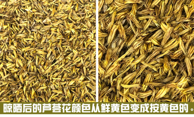 库拉索芦荟花