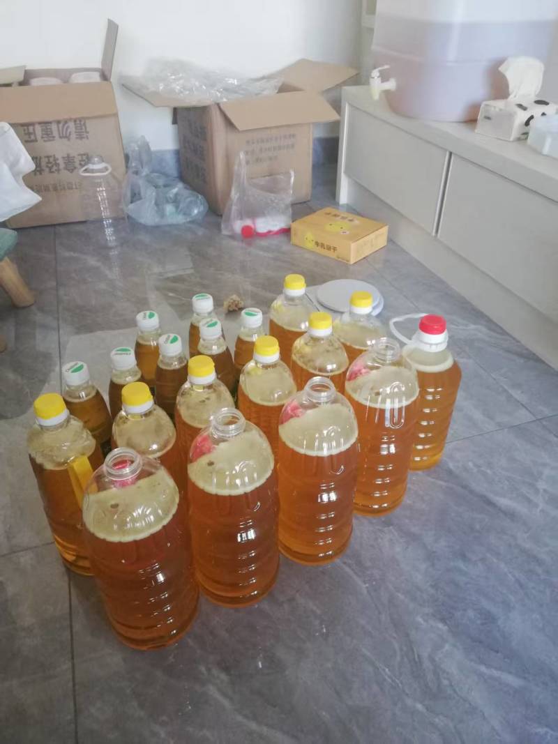 福建武夷山山茶油自产自销一手货源品质保证可视频看货