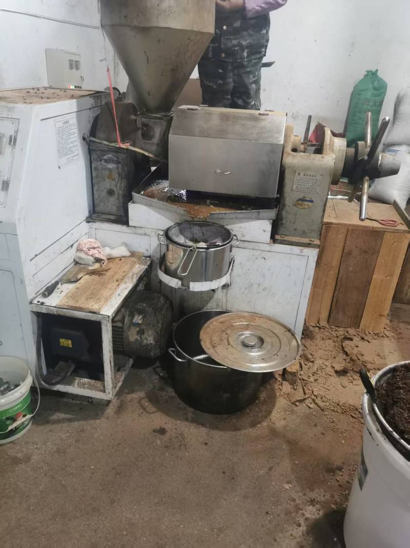 福建武夷山山茶油自产自销一手货源品质保证可视频看货
