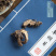 云南野生中药材升麻黑升麻周升麻鬼脸升麻北升麻川