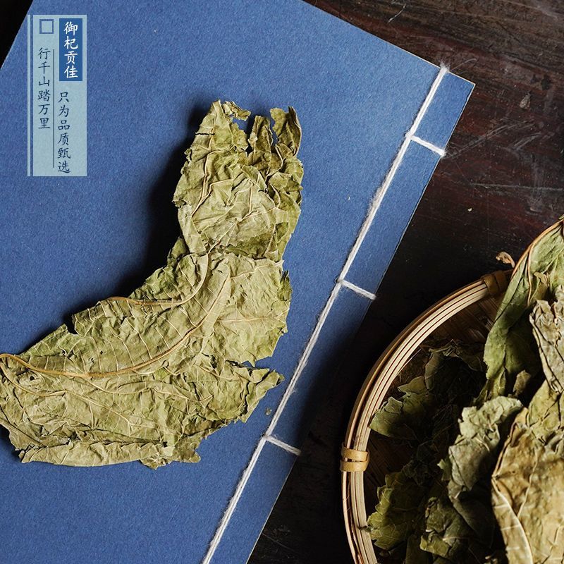 中药材霜桑叶茶干桑叶冬桑叶野生正品散装霜后桑叶干打桑叶粉