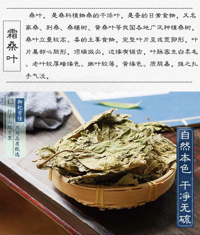 中药材霜桑叶茶干桑叶冬桑叶野生正品散装霜后桑叶干打桑叶粉