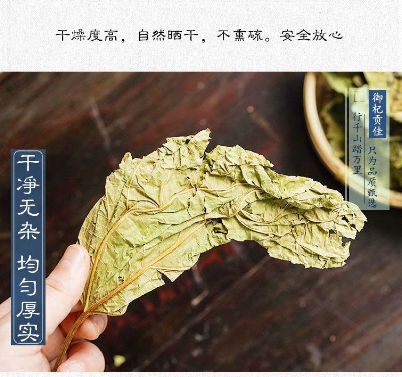 中药材霜桑叶茶干桑叶冬桑叶野生正品散装霜后桑叶干打桑叶粉