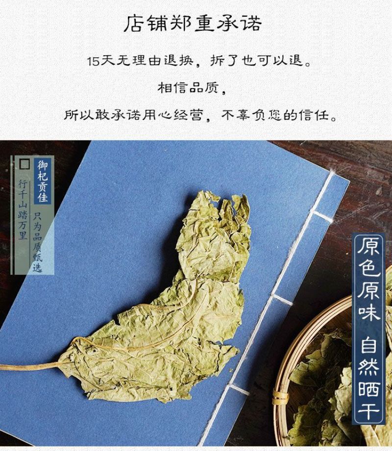 中药材霜桑叶茶干桑叶冬桑叶野生正品散装霜后桑叶干打桑叶粉