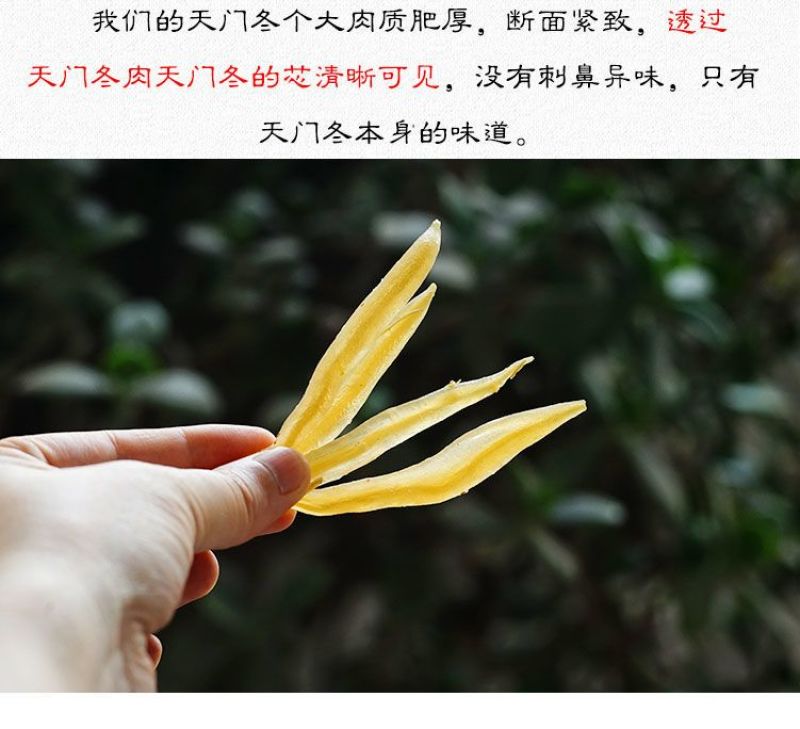 正品广西天门冬中药材500g新鲜天冬大个干货泡酒料去皮新