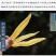 正品广西天门冬中药材500g新鲜天冬大个干货泡酒料去皮新