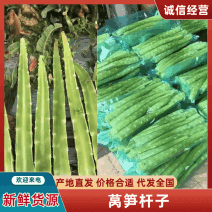 常年供应莴苣杆子，莴笋肉✓质量保证✔代发全国✔