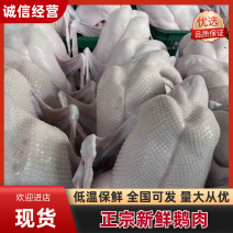 【鹅肉】广东黑棕鹅厂家直销欢迎各大老板咨询采购