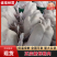 【鹅肉】广东黑棕鹅厂家直销欢迎各大老板咨询采购