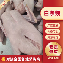 广东黑棕鹅生鲜光鹅货源充足质量保证全国发货