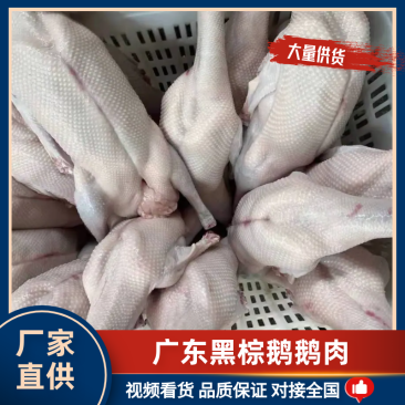 鹅肉二光鹅鲜货冻货整鹅规格齐全光鹅烧腊专用欢迎