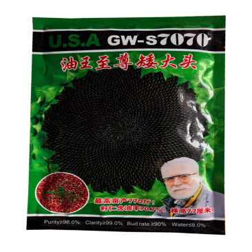 油王**矮大头油葵种子防鸟害出油率高达70%矮杆葵花
