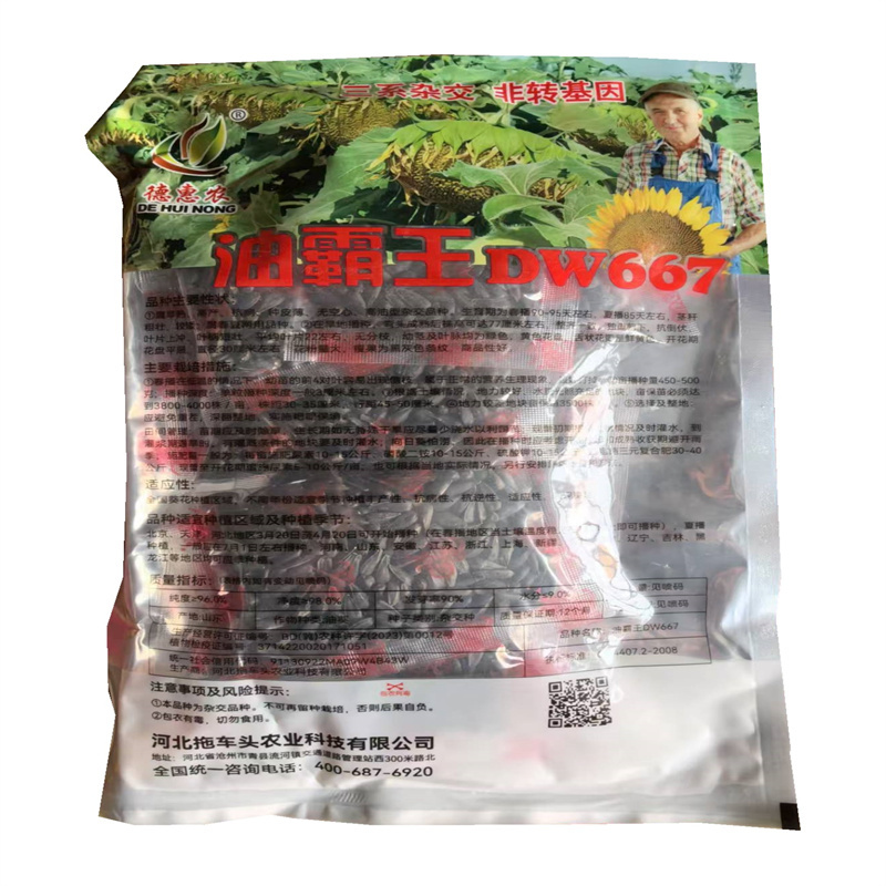 油葵种子油霸王DW667三系杂交非转基因