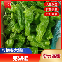 山东青椒辣椒精品芜湖薄皮辣椒，颜色鲜亮，个头均匀