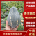 香芋南瓜广东产地直发对接电商市场商超保质保量